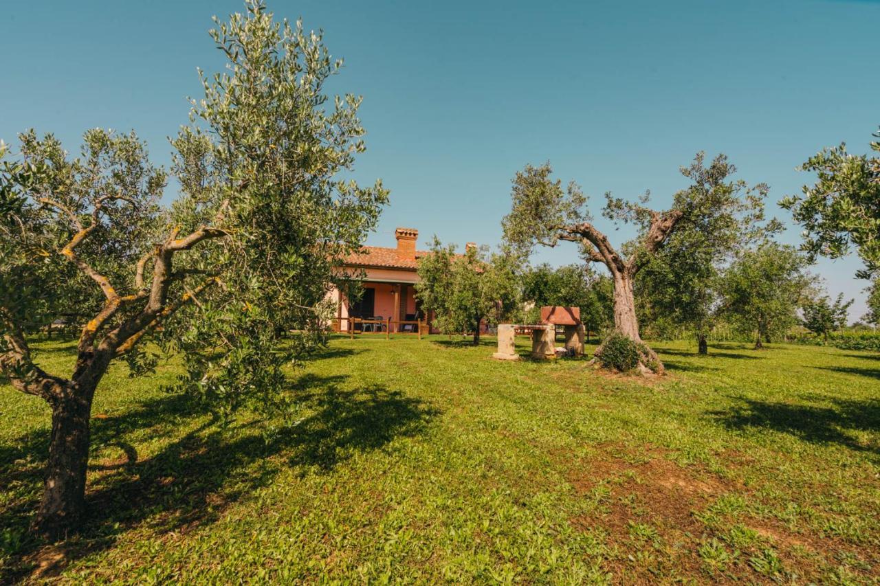 Agriturismo Il Laghetto Grosseto Exterior foto